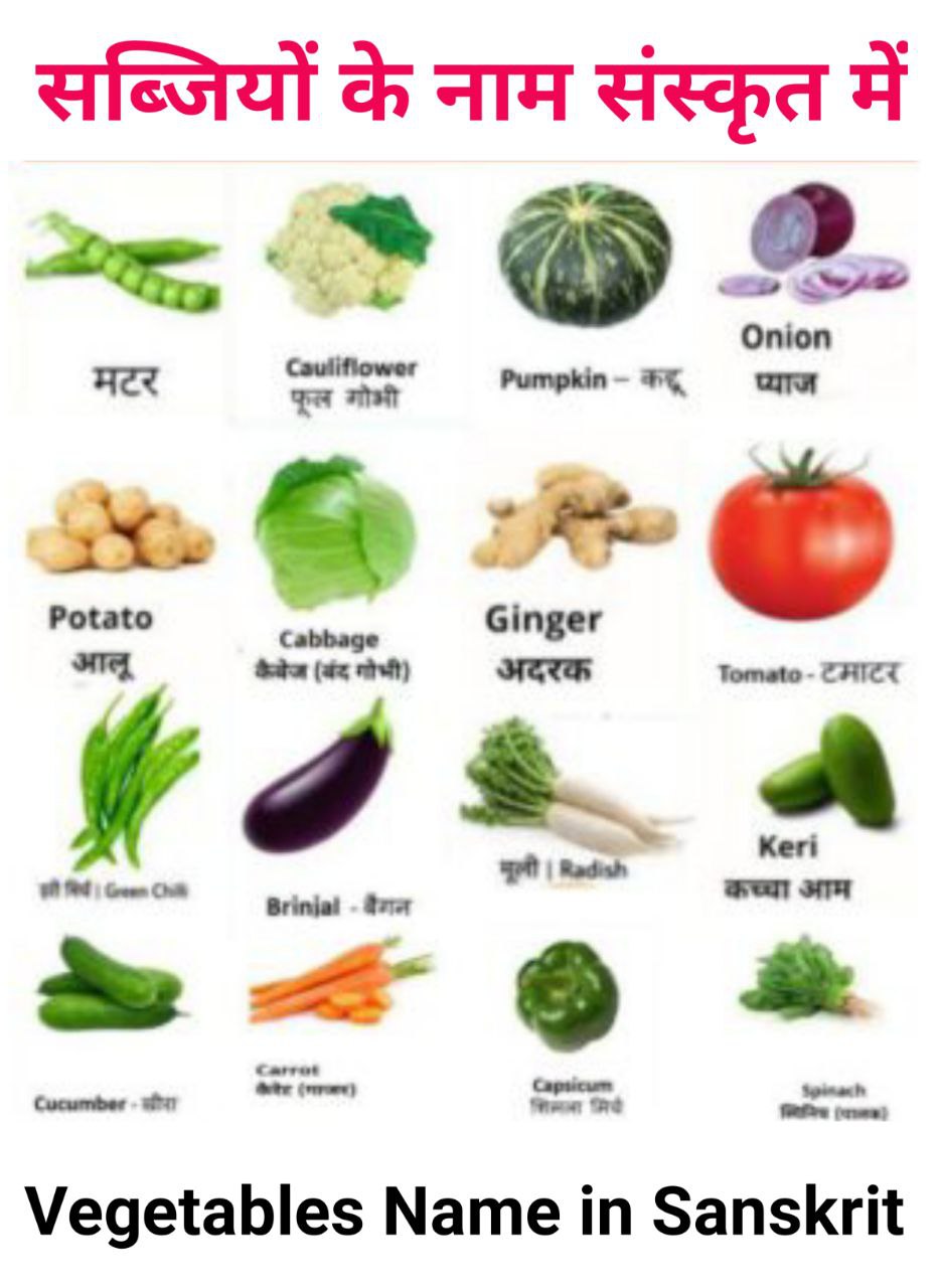 50-vegetables-name-in-sanskrit