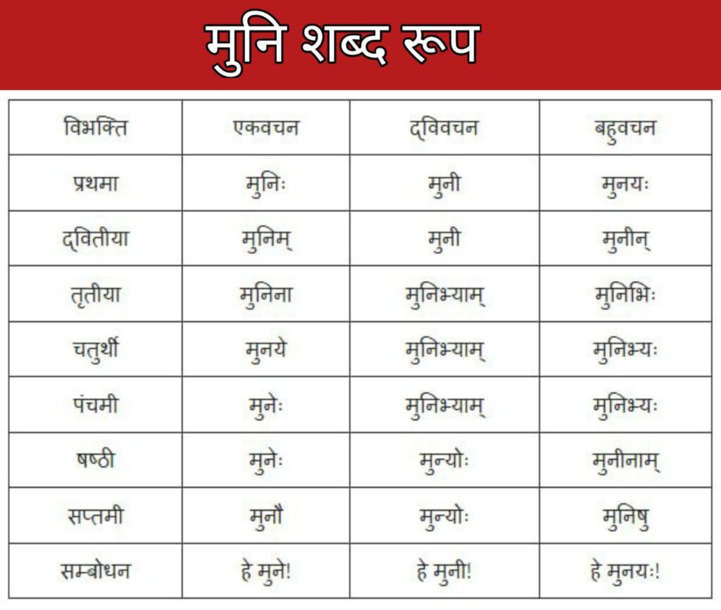 Muni Shabd Roop In Sanskrit 